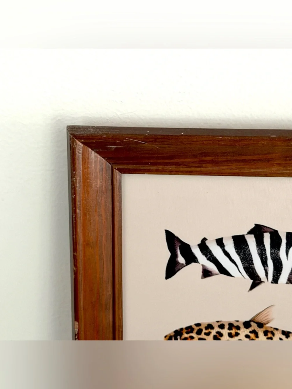 Animal Print Fish Canvas Art Print Vintage Wood Framed Wall Art 10x12” Fishing